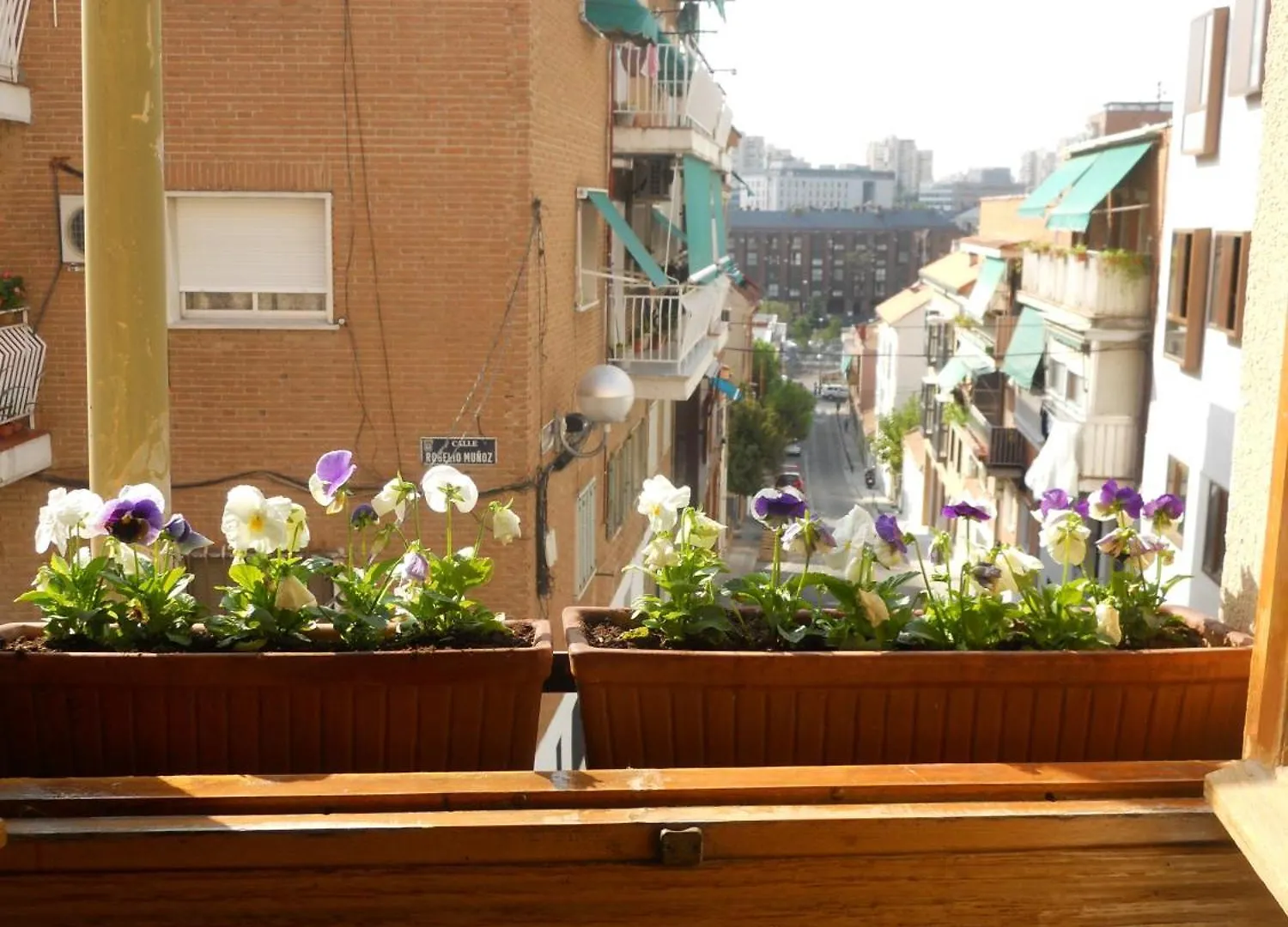Guest house Hostal El Descanso Madrid