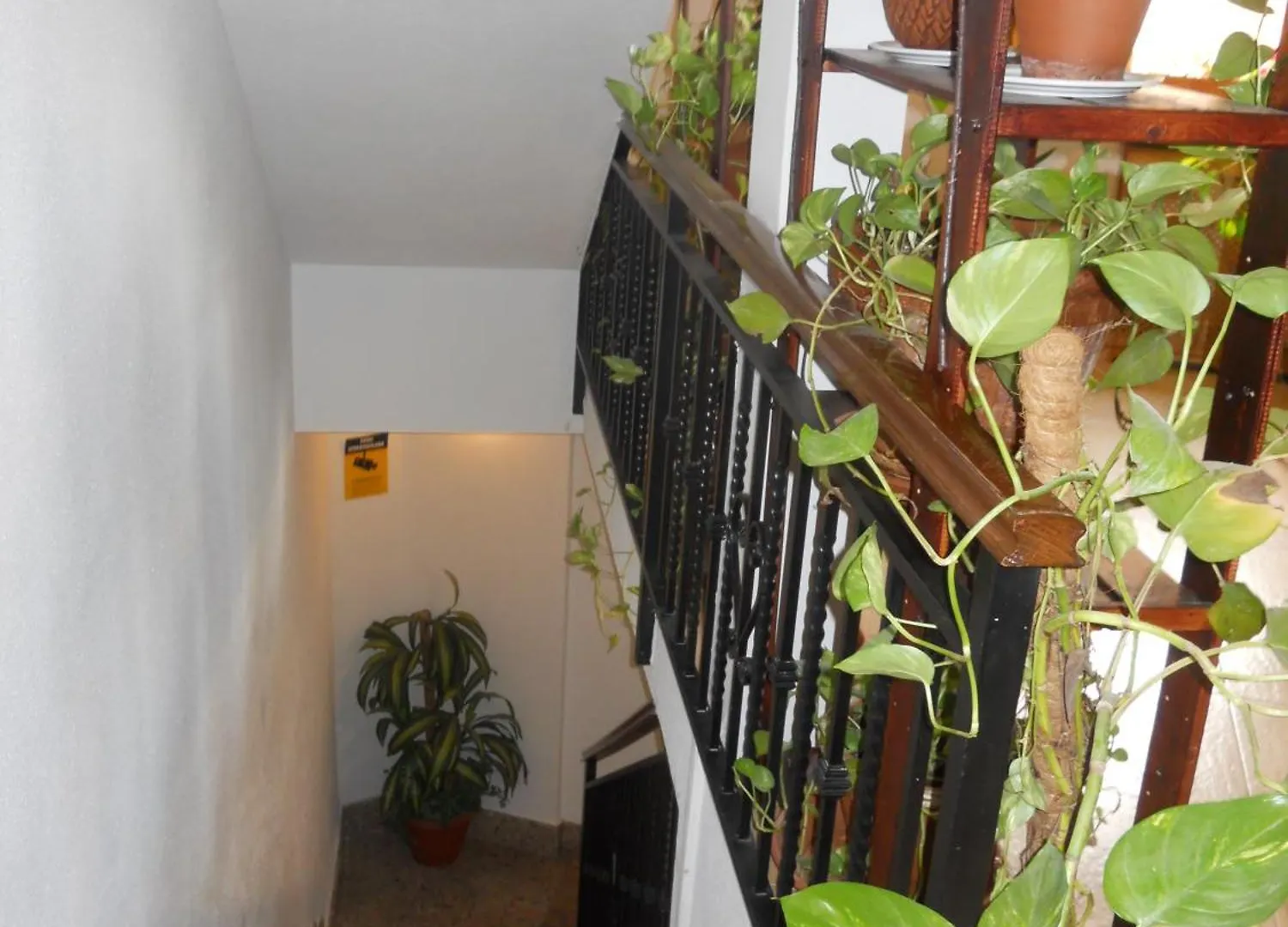 ***** Guest house Hostal El Descanso Madrid Spain