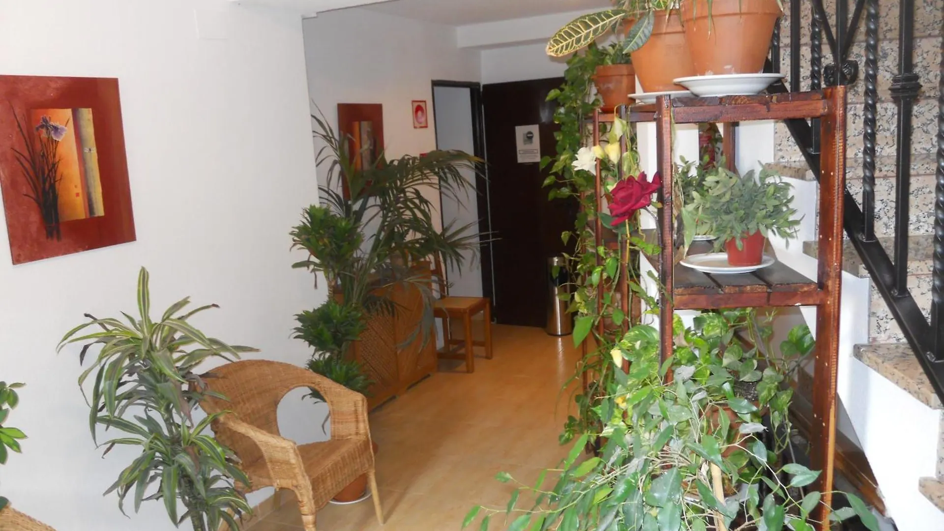 Hostal El Descanso Madrid Spain